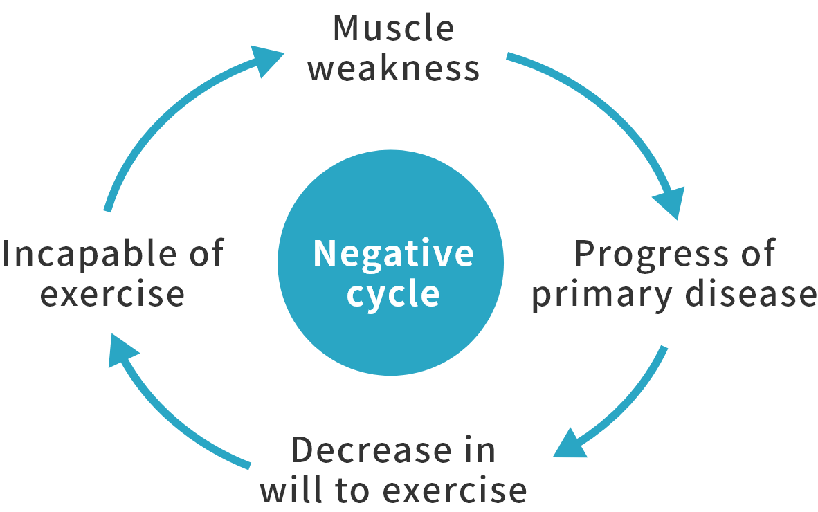 Negative cycle Muscle weakness Progress of primary disease Decrease in will to exercise Incapable of exercise