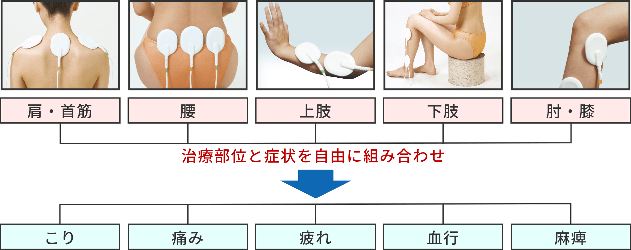 治療部位と症状を自由に組み合わせ