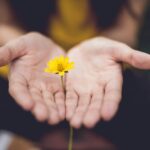 【PSW-H-9】lina-trochez-ktPKyUs3Qjs-unsplash