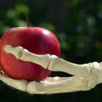 【PSW-H-10】apple-3483512_1920