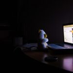 【PSW-R-17】bear-2382779_1280