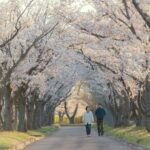 【GTES-SM-19】morn_japan-couple-5832308